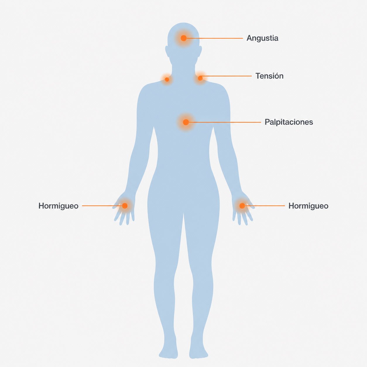 ¿ Deja de estar EN estado de alerta.? Señales de que tu cuerpo está en modo supervivencia y cómo recuperar tu calma 2 Síntomas físicos del sistema nervioso simpático activado